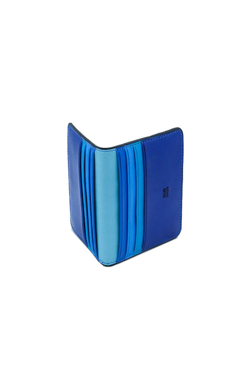 Case Look Carl - Colorful Card Holder 01