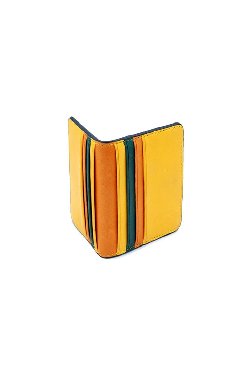 Case Look Carl - Colorful Card Holder