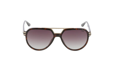 Hawk 2120 02 Men's Sunglasses