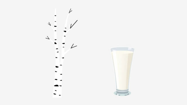 birch-tree-nonfat-milk.jpg