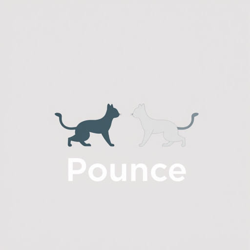how-do-you-play-pounce.jpg