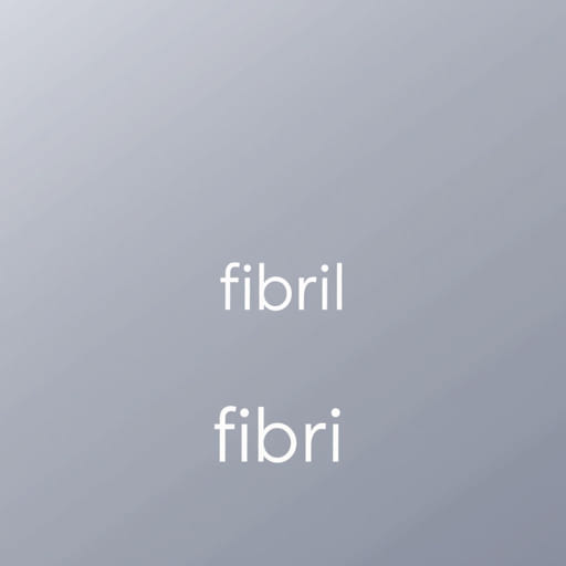 how-to-pronounce-fibril.jpg