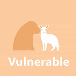 Animals That Are Vulnerable