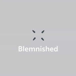 Blemished Meaning In English