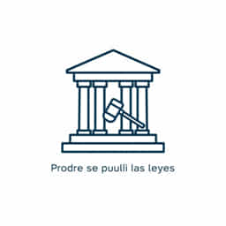 Donde Se Publican Las Leyes