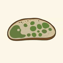 Fear And Hunger Moldy Bread