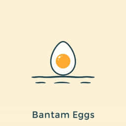 How Long To Boil Bantam Eggs