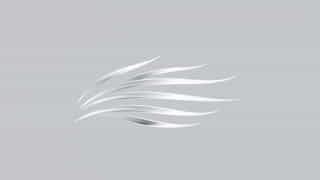 Jeremy Crawford Silvery Barbs