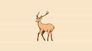 Kashmir Stag Endemic Species