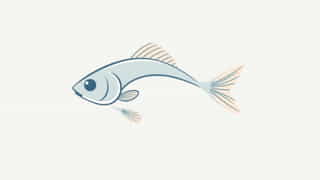 Kelly Wiggler Ball Tail Shad