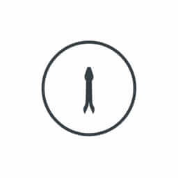 Lacking The Wherewithal Clue