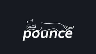 Make A Sentence With Pounce