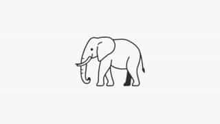 Meaning Of Elephantine Memory