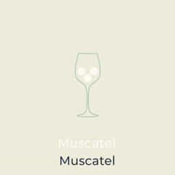 Muscatel Meaning In English
