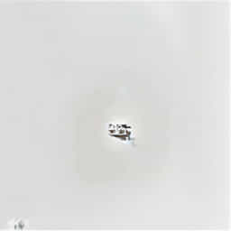 No Longer Warranted Meaning