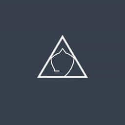 Noam Chomsky Fateful Triangle