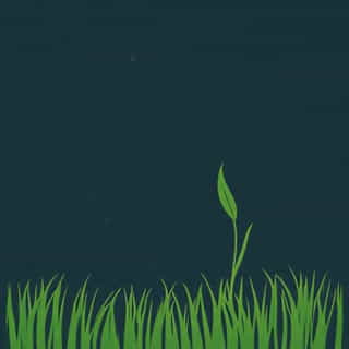 Other Side Grass Is Greener