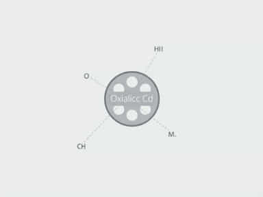 Oxalic Acid Anhydrous Cas No