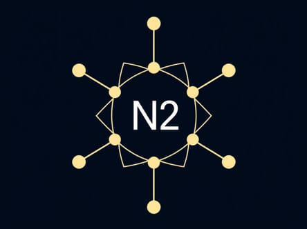 In The Molecular Orbital Diagram Of N2