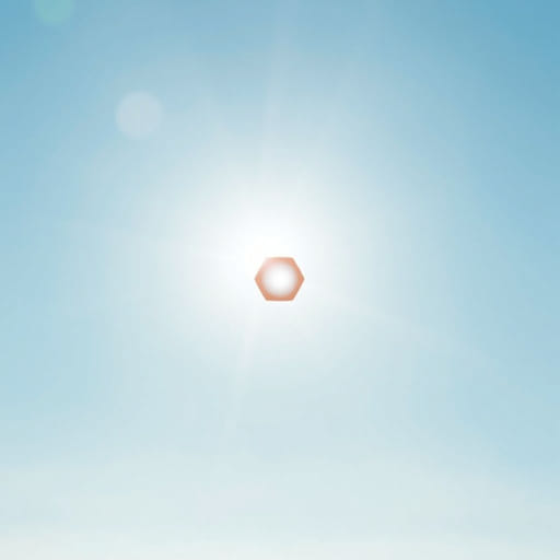 In The Sunlight Or Under The Sunlight