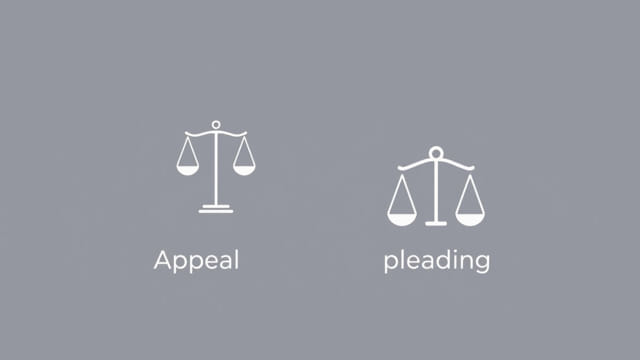 Is An Appeal An Initiatory Pleading