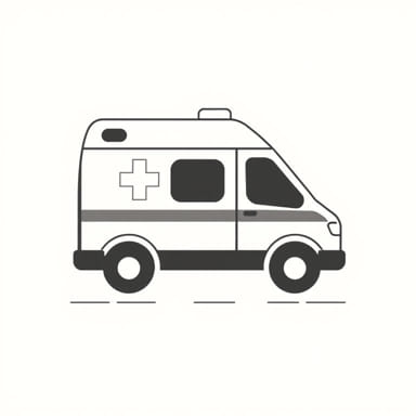 Sophie Le Ch Teau Ambulant