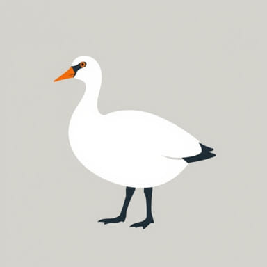Types Of Wildfowl Uk