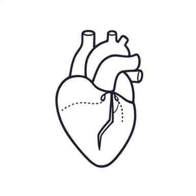 Category 2 Fetal Heart Tracing