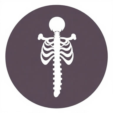 Does Bone Marrow Grow Back