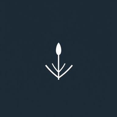 General Example Of Juxtaposition