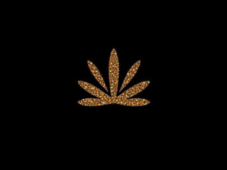 Glitz And Glamour Theme