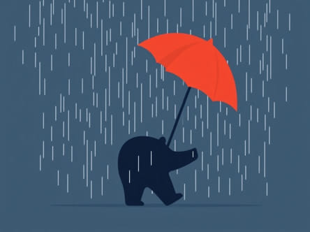 I Hate The Rain Com Bearskin