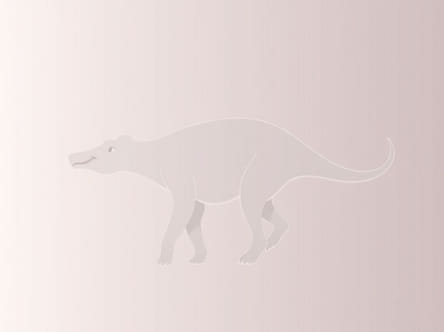 Information About The Cenozoic Era