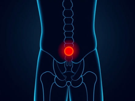 Pain In Groin Area