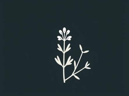 Rosemary Gladstar Medicinal Herbs