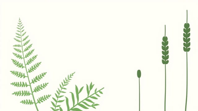 Seedless Vascular Plants Have Quizlet