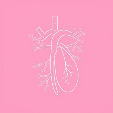 Transposition Of Great Arteries Journal