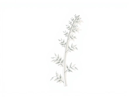 Urtica Dioica Medicinal Uses