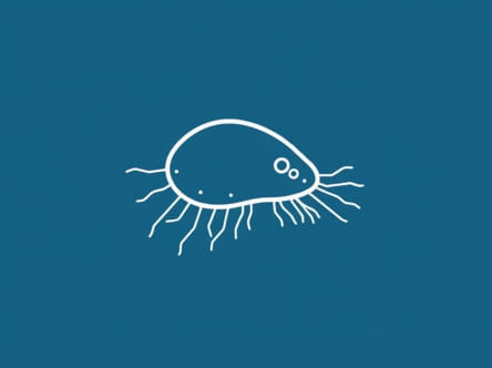 Video Amoeba Eating Paramecium