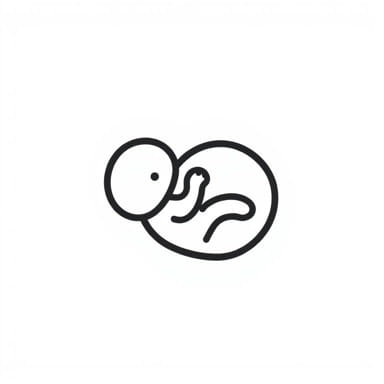 What Is A Fetal Death