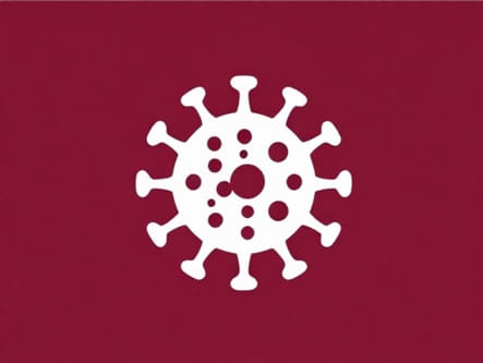 X Protein Hepatitis B Virus