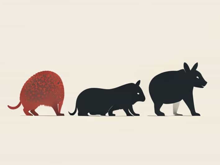 Animals Attached To Substratum Are Called