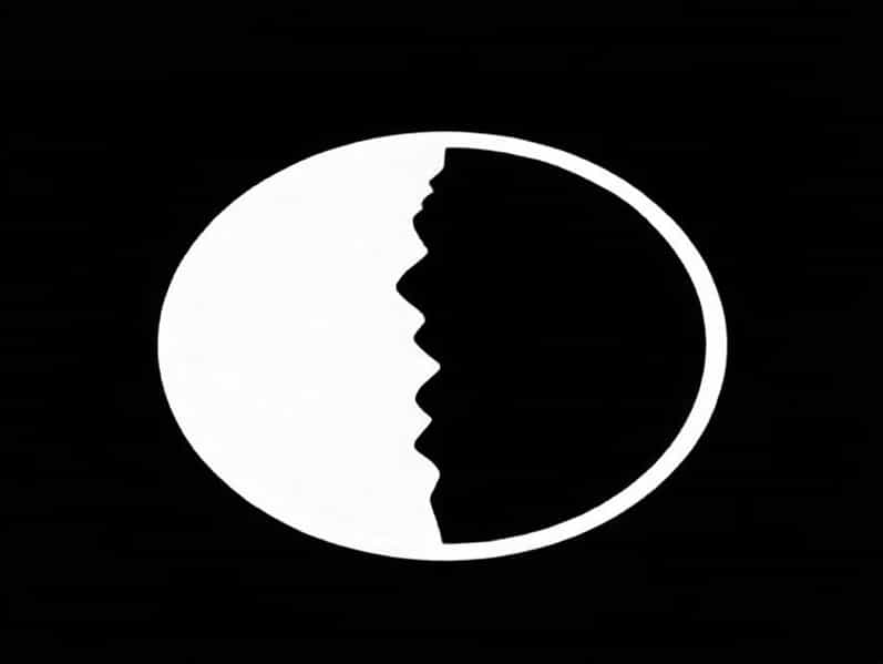 Bipolarism Or Bipolarity Of The World