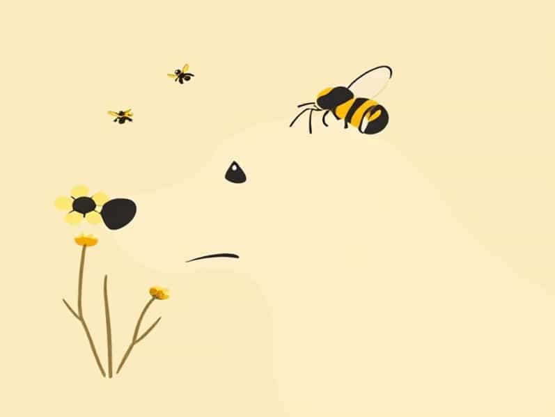 Can Dogs Get Stung By Bees