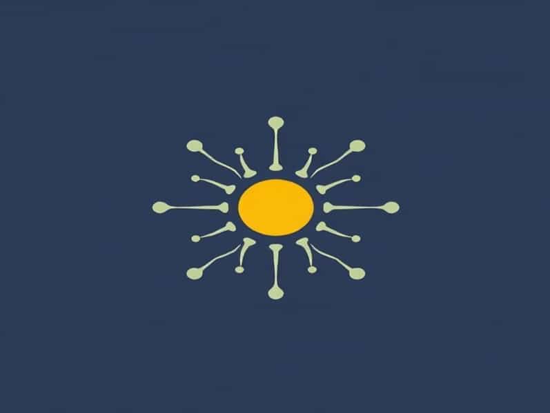 Chromatin Condenses And Nucleoli Disappear During