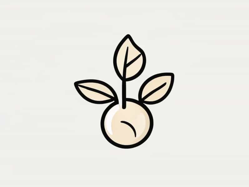 Diagrammatically Show Budding In Yeast