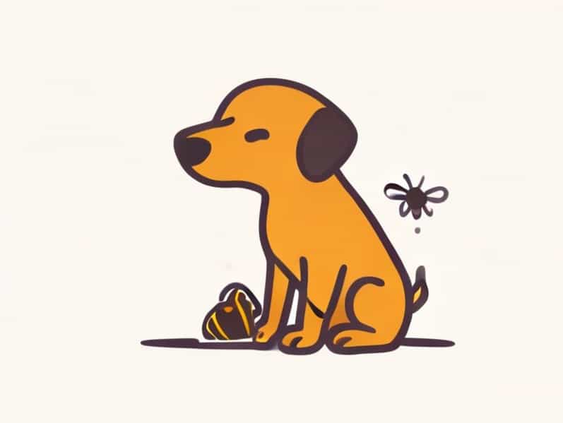 Dog Stung By Bee On Paw