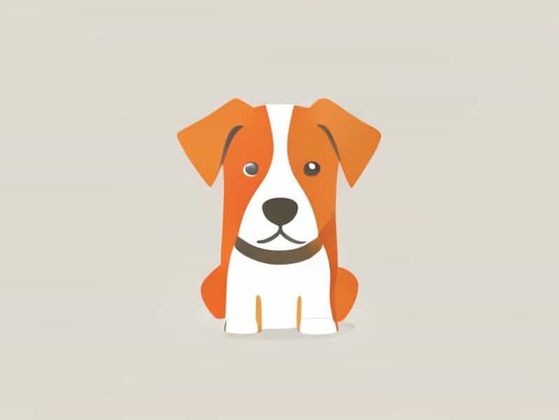 First Aid For Heatstroke In Dogs