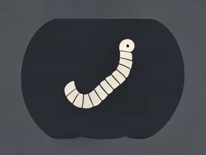 Following Is The Example Of Hookworm