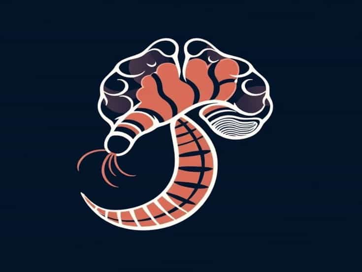 Neurocysticercosis Complication Is Seen In Worm